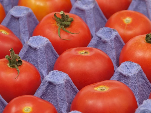 バイオレット卵鍋に赤いトマト — ストック写真