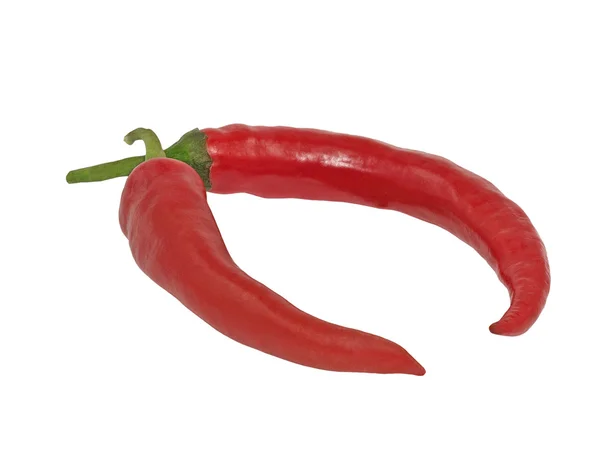 孤立在白色背景上的红色热智利辣椒 — 图库照片