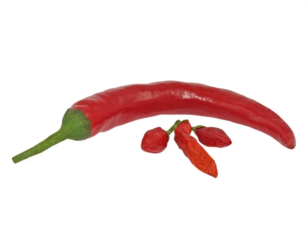 不同品种的红辣椒在白色背景上 — 图库照片