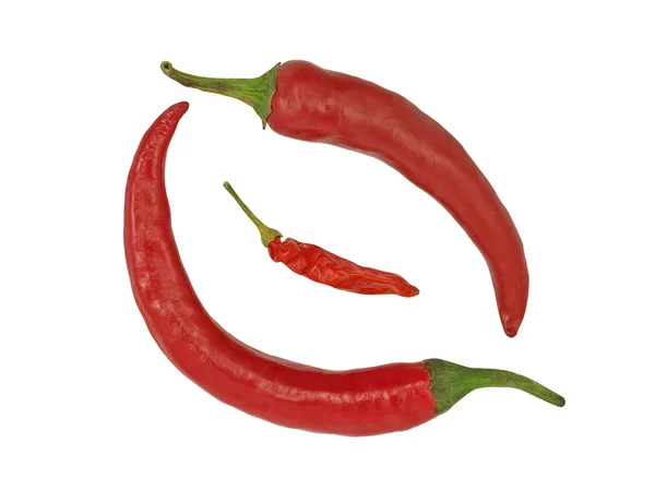 不同品种的孤立的白色背景上的红辣椒 — 图库照片