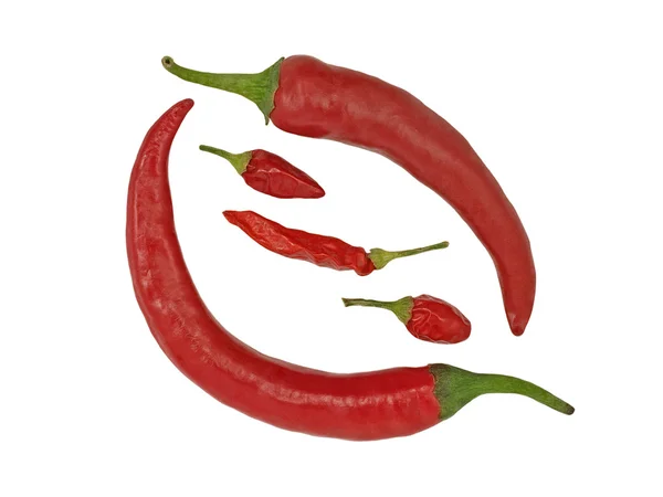 Pimenta de chile quente vermelha . — Fotografia de Stock