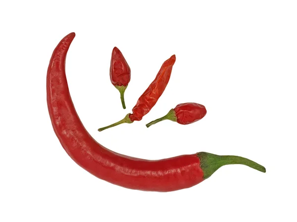 不同品种的红辣椒在白色背景上 — 图库照片