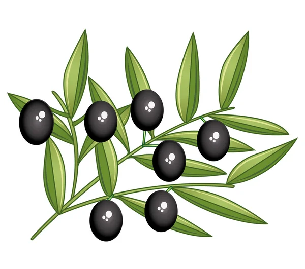 stock vector Black olives branch