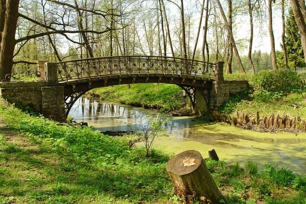 공원에 있는 오래 된 다리 스톡 사진