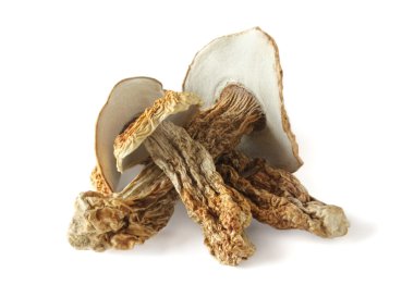 Dried boletus mushrooms clipart