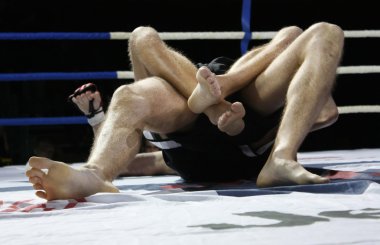 Two wrestlers in the ring clipart