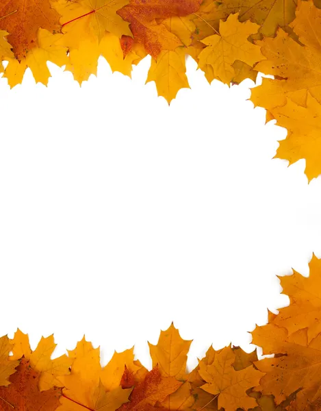 Marco de hojas de otoño sobre un fondo blanco Fotos de stock libres de derechos