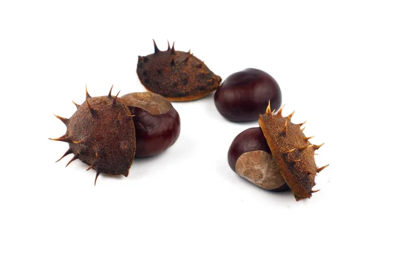 Chestnuts with shell on white background — Stock Photo, Image