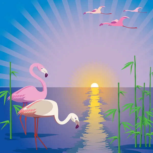 Flamingók — Stock Vector