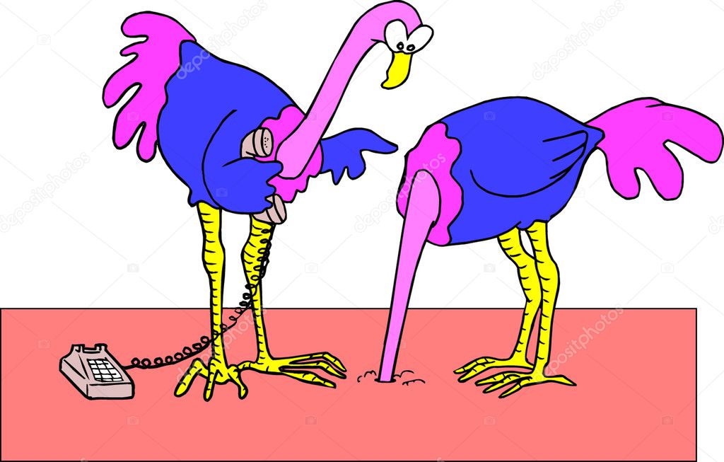 ostrich 卡通图片