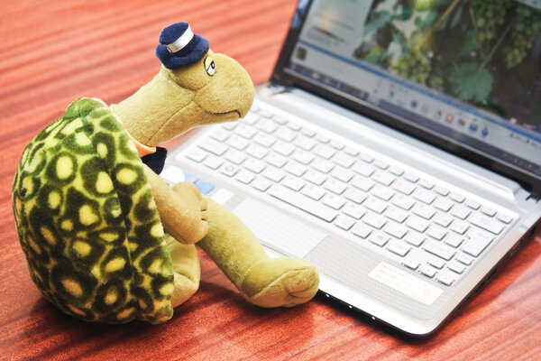 Toy turtle sits in front of netbook