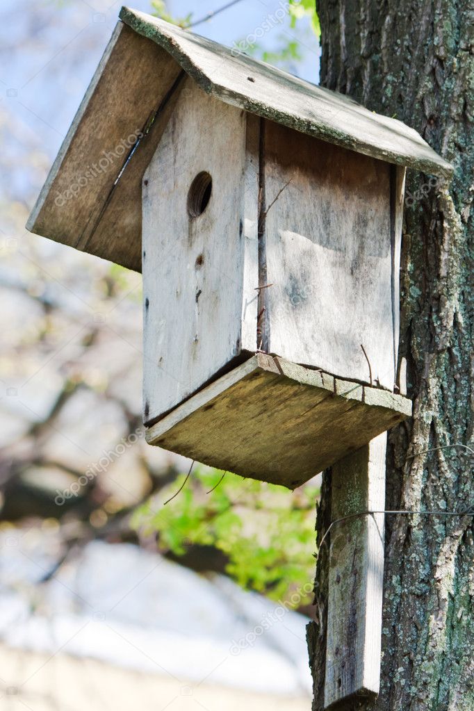 Homemade wooden bird house in spring