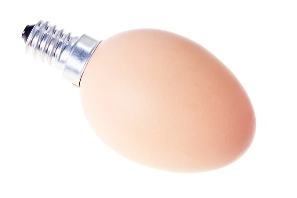 電球と生態学的なエネルギー概念として白で隔離される卵のシュールなハイブリッド — ストック写真