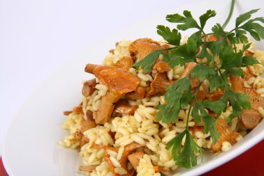 Risotto with mushrooms clipart