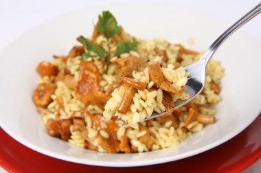 mantarlı risotto