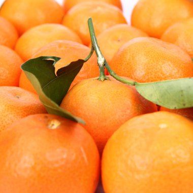 mandarins