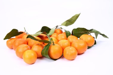 mandarins