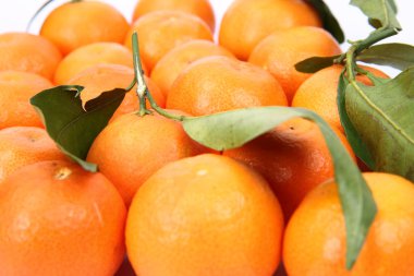 mandarins