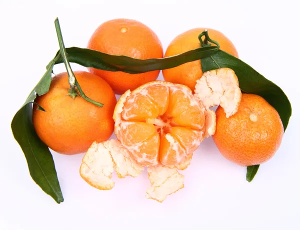 Oranges mandarines — Photo
