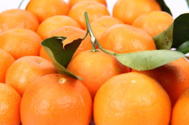 mandarins