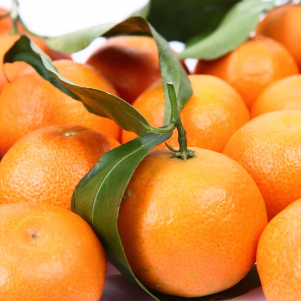 Mandarins — Stok fotoğraf