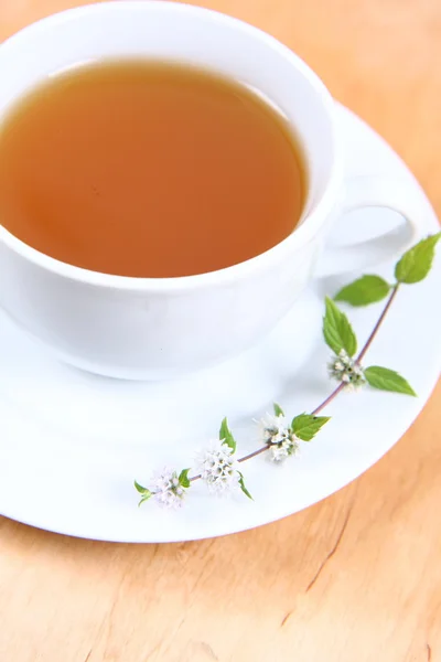 緑茶のカップ — ストック写真