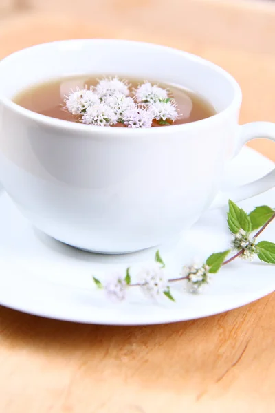 Taza de té verde — Foto de Stock