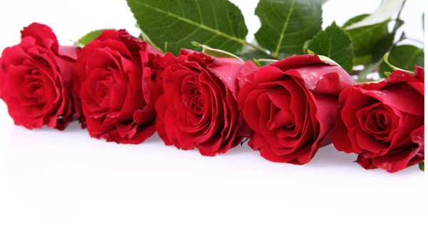 Fond rose rouge — Photo