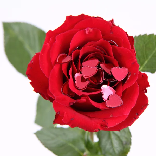 Rose Rouge Avec Des Confettis Forme Coeur Dessus — Photo