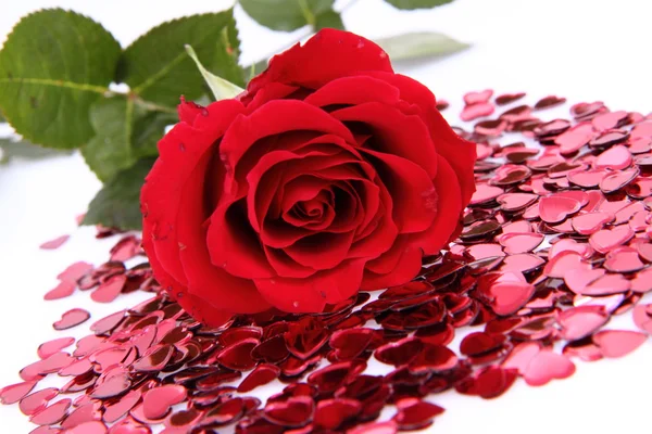 Vörös rózsa és konfetti — Stock Fotó