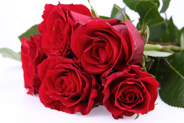 stock image Bouquet of red roses on white background