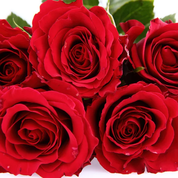 Kytice z rudých růží — Stock fotografie