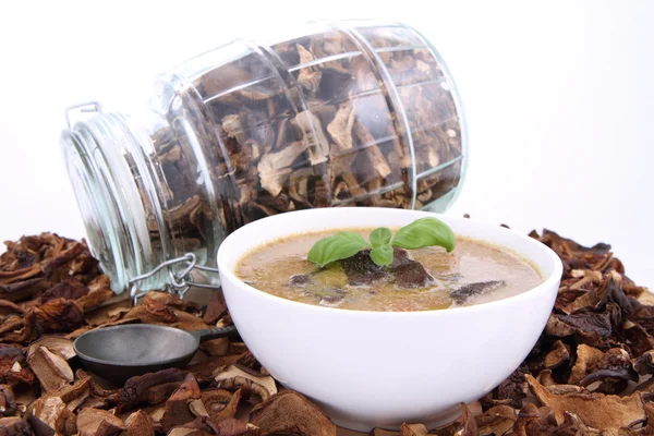 マッシュ ルーム スープと乾燥キノコ — ストック写真