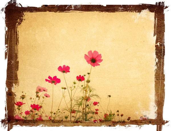 Old flower paper textures