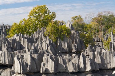 tsingy de bemaraha, Madagaskar, unesco dünya mirası Ulusal Parkı