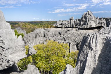 Tsingy de Bemaraha clipart