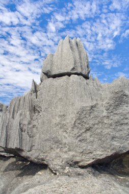 Tsingy de Bemaraha clipart