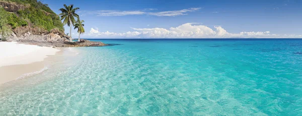 Panorama Dell Isola Deserta Con Palme Sulla Spiaggia — Foto Stock