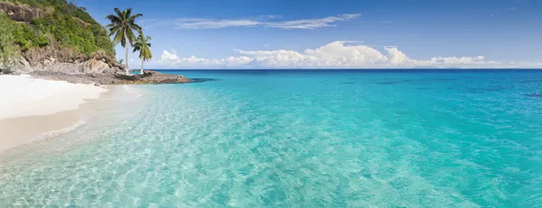Panorama Bezludnej Wyspie Palmami Plaży Obrazek Stockowy