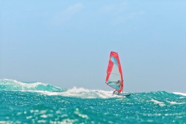 Windsurf in the waves clipart