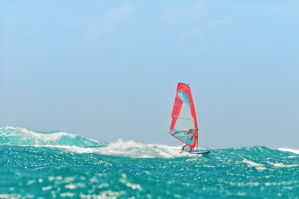 Windsurf nas ondas — Fotografia de Stock