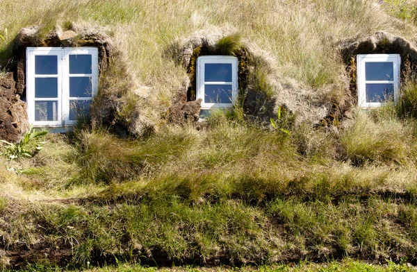 典型的苔藓墙在冰岛农场 — 图库照片
