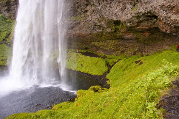 Частиною Краси Великим Водоспадом Seljalandsfoss Південь Від Ісландії — стокове фото