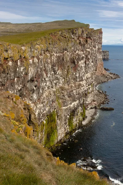 Latrabjarg nordvästra spetsen av Island. — Stockfoto