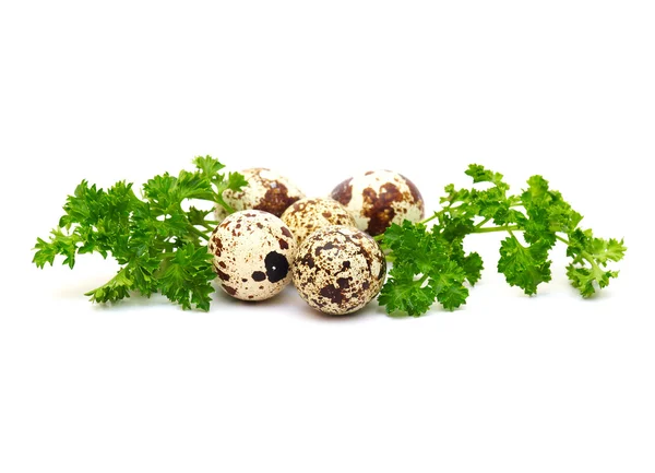 Isolated Quail Eggs Green Leaves Parsley — Stock Photo, Image