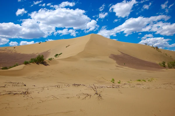 Deserto arenoso quente — Fotografia de Stock