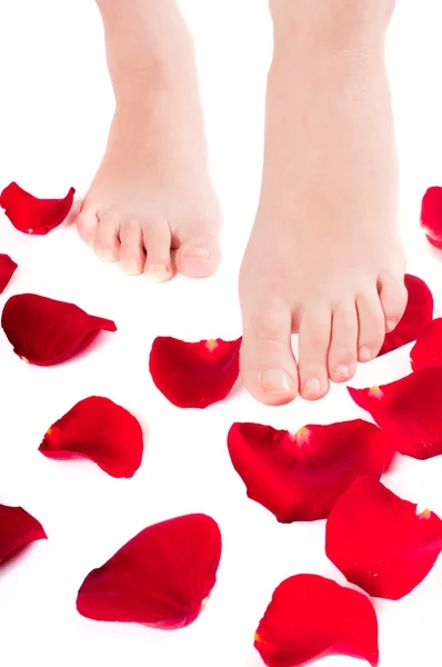 Beautiful woman legs with rose — Stock Photo, Image