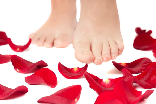 Closeup krásná žena nohy s růží — Stock fotografie