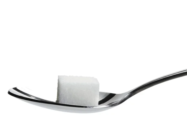 One lump sugar on a spoon — Stock Photo, Image
