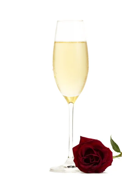 Cold glass of champagne with a wet red rose — Stock Photo, Image